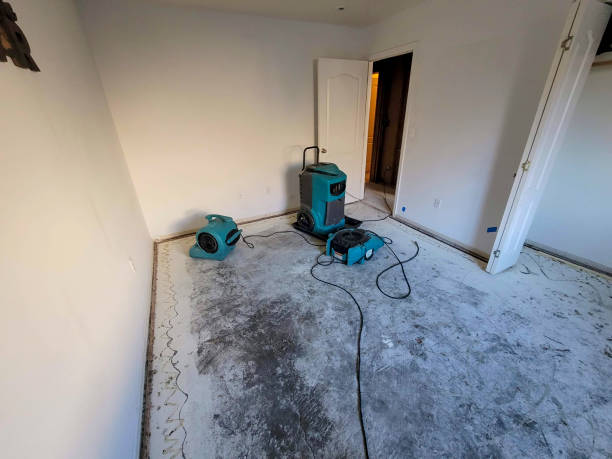Best 24-hour water damage restoration  in Easton, CA