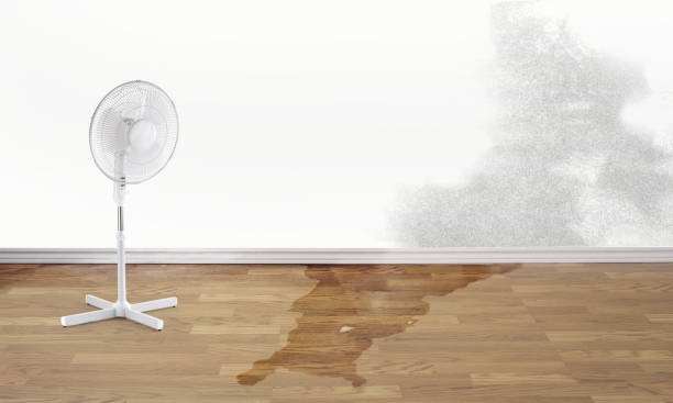 Best Carpet water damage restoration  in Easton, CA