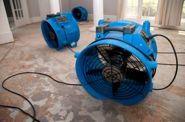 Best Commercial water damage restoration  in Easton, CA