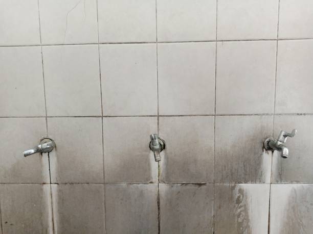 Best 24-hour water damage restoration  in Easton, CA