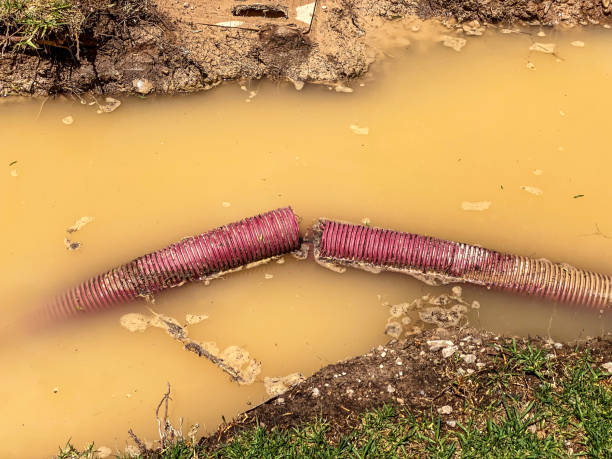  Easton, CA Water damage restoration Pros