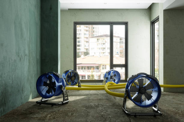 Best Water damage cleanup near me  in Easton, CA
